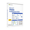 Microsoft Visio Professional 2024